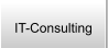 IT-Consulting